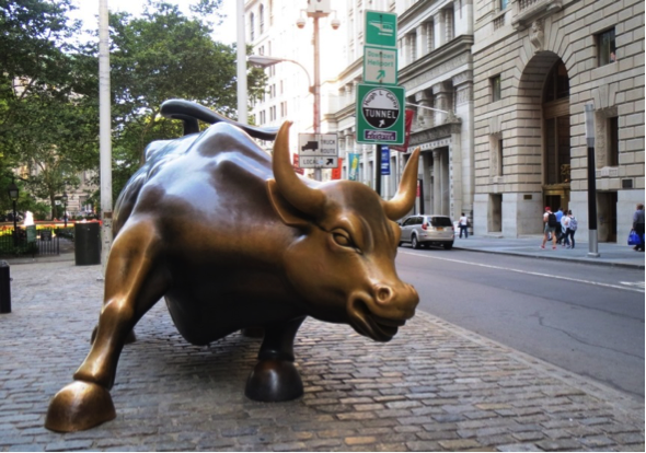 bull